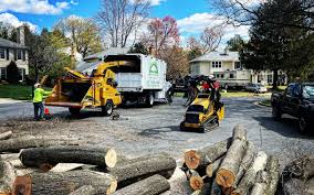 Trusted Vernon Valley, NJ Tree Removal and Landscaping Services Experts